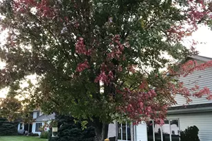 1960 Long Bridge Rd, Detroit Lakes, MN 56501 - Photo 6