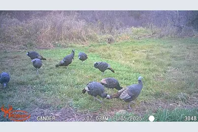 S9025 Lowes Creek Road, Eleva, WI 54738 - Photo 52