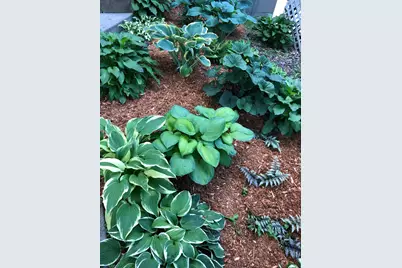 3461 Pilgrim Lane N, Plymouth, MN 55441 - Photo 18