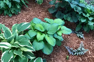 3461 Pilgrim Ln N, Plymouth, MN 55441 - Photo 18