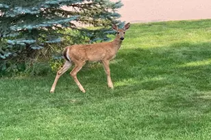 2001 Henry St N, North Saint Paul, MN 55109 - Photo 46