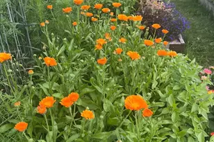 2179 132nd St, New Richmond, WI 54017 - Photo 40