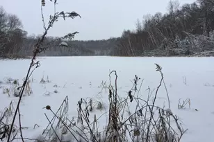 3890 Kindred Way, Lake Elmo, MN 55042 - Photo 26