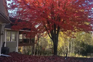 3890 Kindred Way, Lake Elmo, MN 55042 - Photo 24