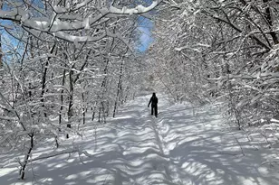 3890 Kindred Way, Lake Elmo, MN 55042 - Photo 28