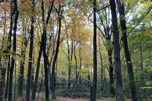 3890 Kindred Way, Lake Elmo, MN 55042 - Photo 18