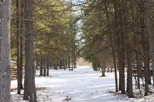 32065 159th Ave, Menahga, MN 56464 - Photo 38