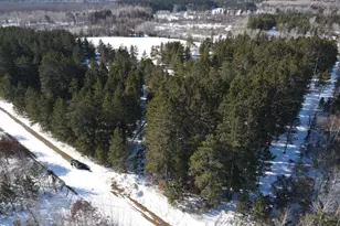 32065 159th Ave, Menahga, MN 56464 - Photo 70