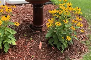 16352 Irvine Ave NW, Clearwater, MN 55320 - Photo 36