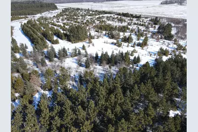 Tbd County Road 26, Sebeka, MN 56477 - Photo 6