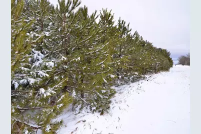 Xxx 170th Street, Park Rapids, MN 56470 - Photo 18