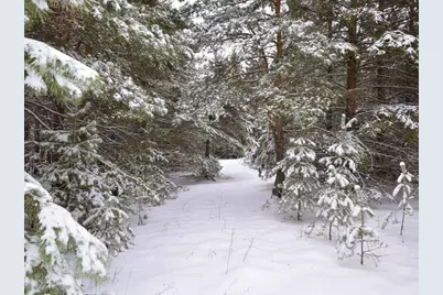 Xxx 170th Street, Park Rapids, MN 56470 - Photo 6