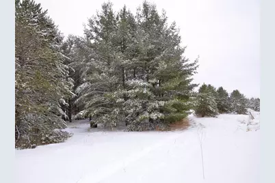 Xxx 170th Street, Park Rapids, MN 56470 - Photo 4