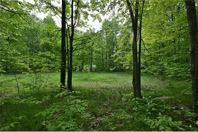 Lot 1 Highway 77 E, Hayward, WI 54843 - Photo 6
