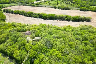 8575 State Hwy 55, Kimball, MN 55353 - Photo 2