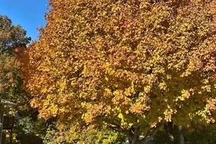 17190 Sunray Cir SW, Prior Lake, MN 55372 - Photo 32