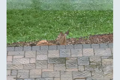 9508 N Shore Trail, Forest Lake, MN 55025 - Photo 34