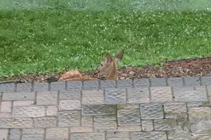 9508 N Shore Trail, Forest Lake, MN 55025 - Photo 34