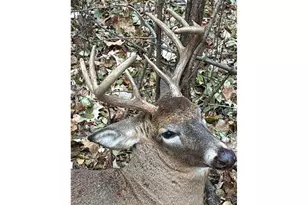 Lot 5 Butternut Rd, Brainerd, MN 56401 - Photo 26