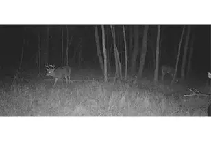 Lot 5 Butternut Rd, Brainerd, MN 56401 - Photo 2