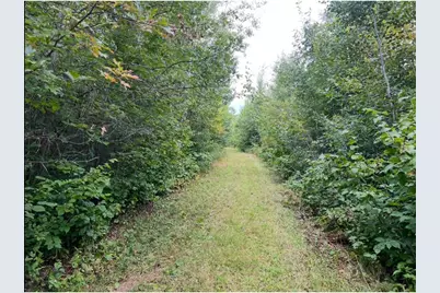 Lot 5 Butternut Road, Brainerd, MN 56401 - Photo 28