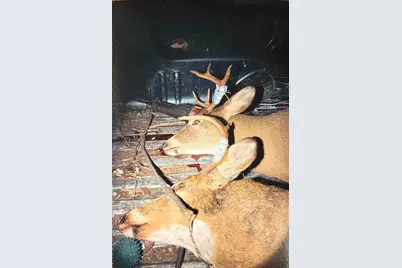 17931 205th Avenue, Little Falls, MN 56345 - Photo 20