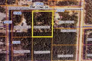 Tbd Pine Cone Dr, Menahga, MN 56464 - Photo 1