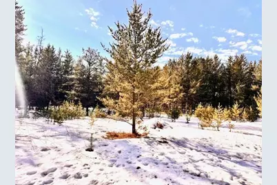 Tbd Pine Cone Dr, Menahga, MN 56464 - Photo 8