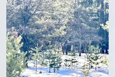 Tbd Pine Cone Dr, Menahga, MN 56464 - Photo 6