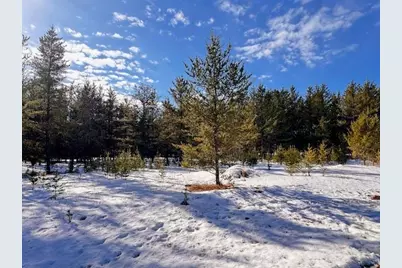 Tbd Pine Cone Dr, Menahga, MN 56464 - Photo 6