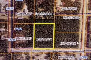 Tbd Pine Cone Rd, Menahga, MN 56464 - Photo 1