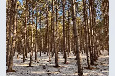 Tbd Pine Cone Rd, Menahga, MN 56464 - Photo 8