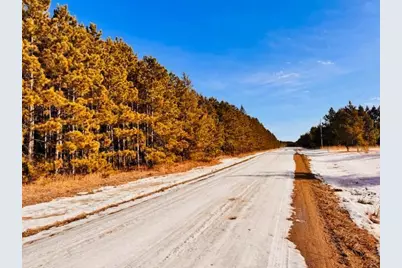 Tbd Pine Cone Rd, Menahga, MN 56464 - Photo 4