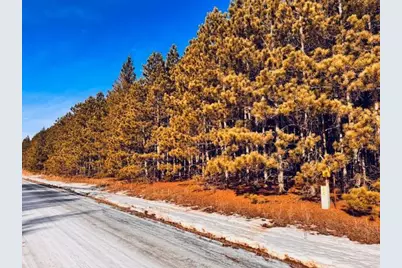 Tbd Pine Cone Rd, Menahga, MN 56464 - Photo 2