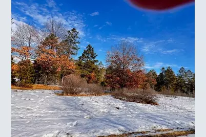 Tbd Freedom Drive, Menahga, MN 56464 - Photo 6