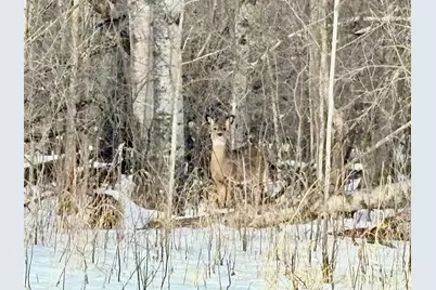 1Tbd Minnesota Ave NE, Warroad, MN 56763 - Photo 4