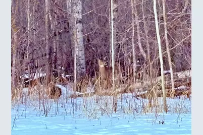 Tbd Minnesota Ave NE, Warroad, MN 56763 - Photo 4