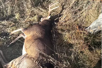 Tbd 205th Avenue, Little Falls, MN 56345 - Photo 12