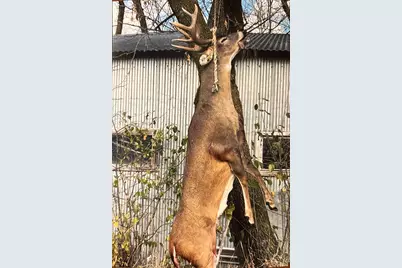 Tbd 205th Avenue, Little Falls, MN 56345 - Photo 14