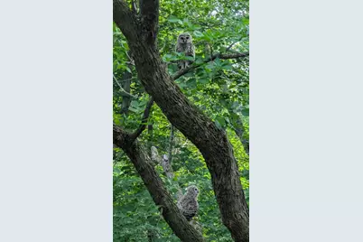 4318 153rd Avenue NE, Ham Lake, MN 55304 - Photo 54