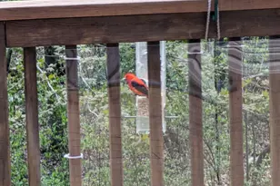 4318 153rd Ave NE, Ham Lake, MN 55304 - Photo 56