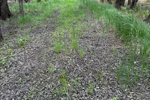 1995 Royal Heights Ln, Braham, MN 55006 - Photo 1