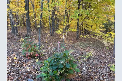 35365 Old Orchard Lane, Bayfield, WI 54814 - Photo 14