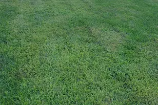 11129 Polk Street NE, Blaine, MN 55434 - Photo 4