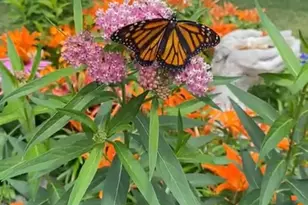 20236 Killdeer St NW, Cedar, MN 55011 - Photo 52