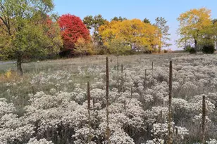 20236 Killdeer St NW, Cedar, MN 55011 - Photo 56