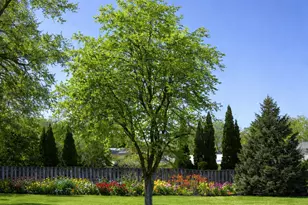 2034 Pleasant View Dr, New Brighton, MN 55112 - Photo 4