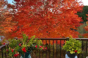 1971 Andrew Ct, Chanhassen, MN 55317 - Photo 42