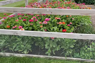 17176 Hilltop Ln SE, Chatfield, MN 55923 - Photo 68