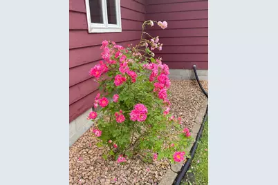 208 E 5th Street, Redwood Falls, MN 56283 - Photo 44